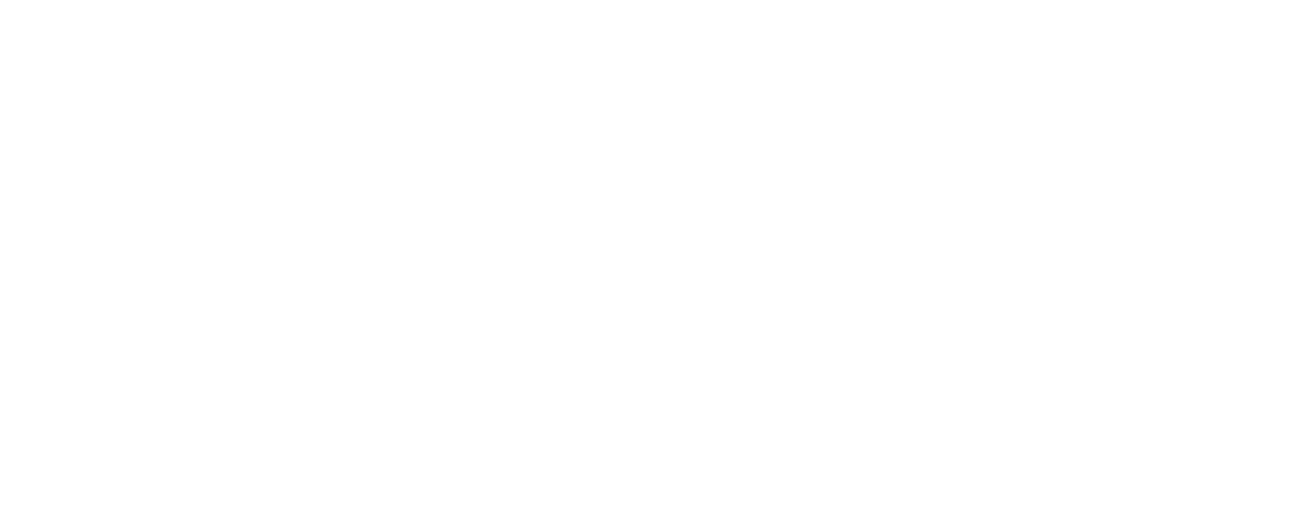 Selo PK 2S Plus
